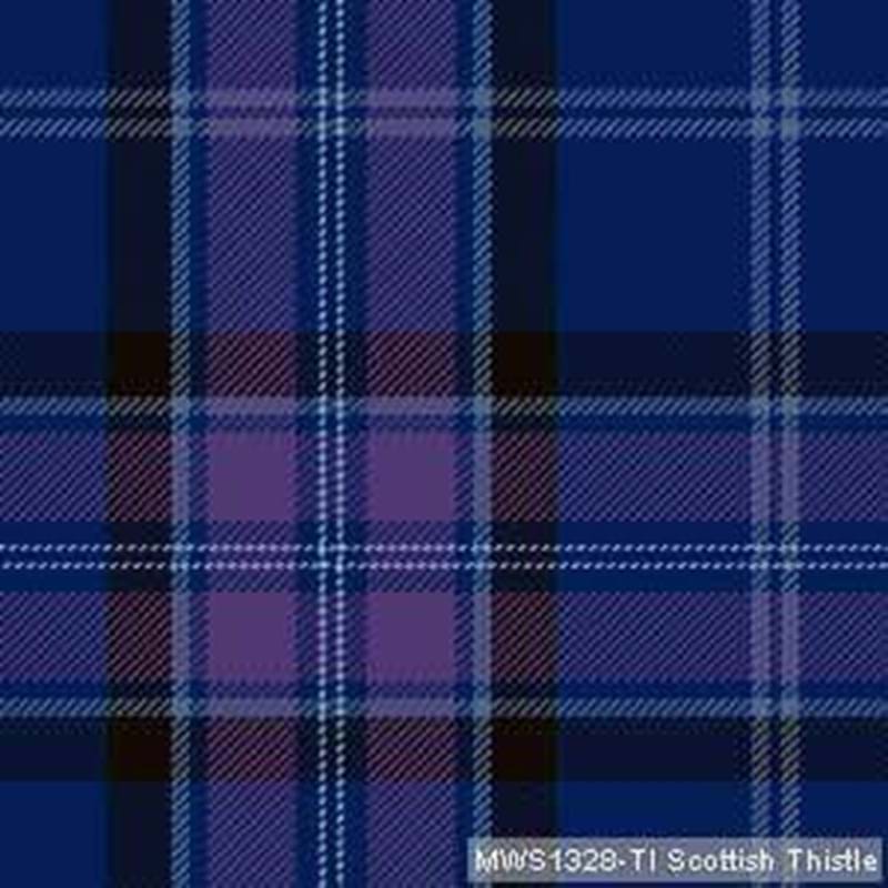 Scottish Thistle