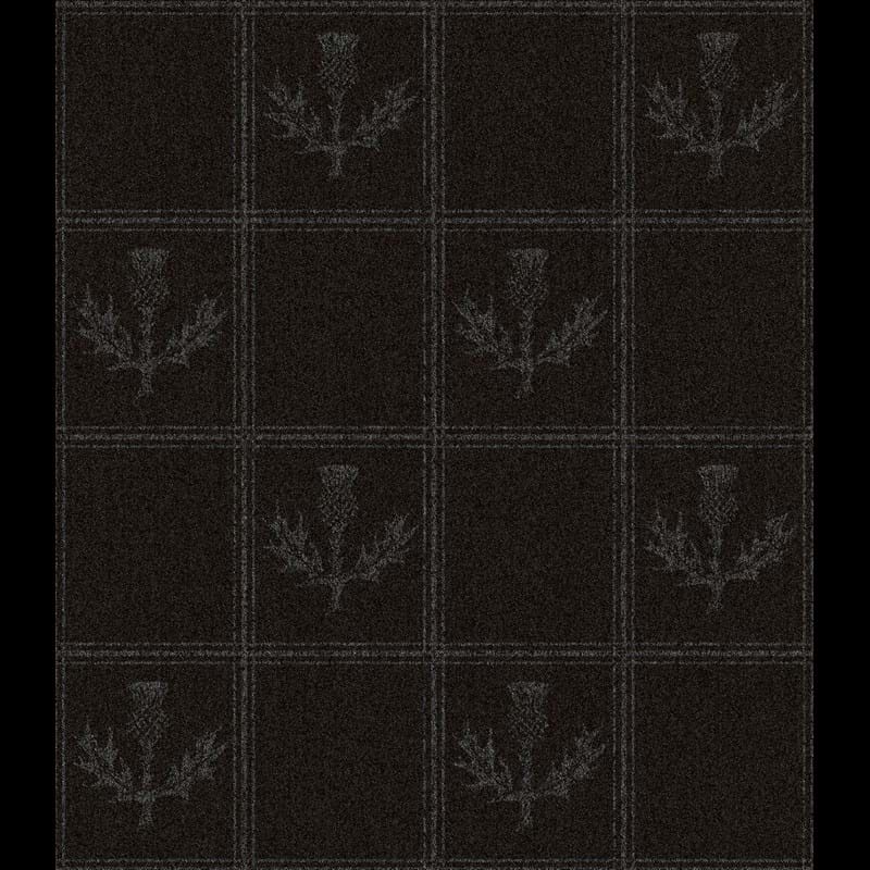 Black Thistle